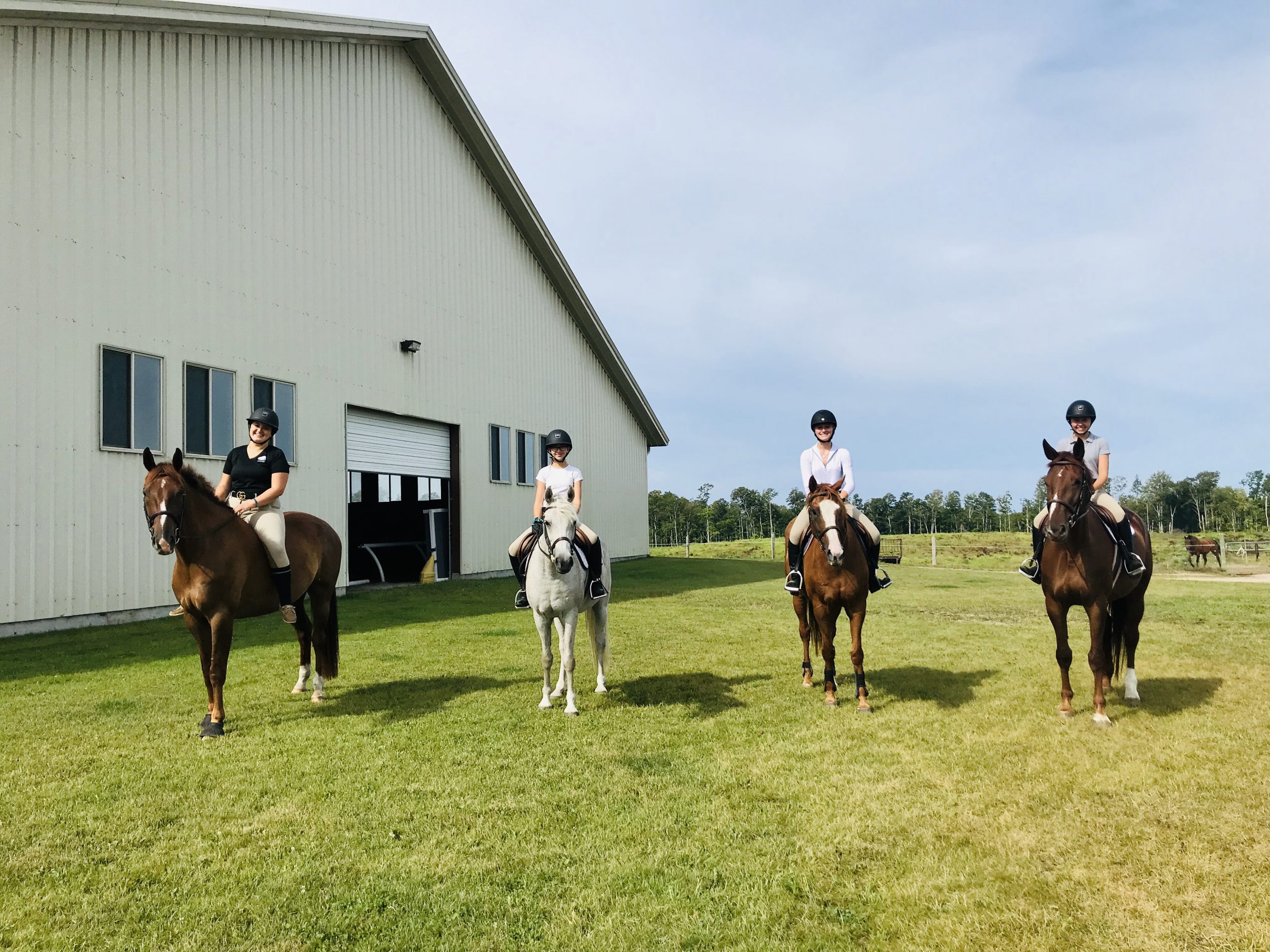 Pony Club - K. Colfer Sporthorses LLC